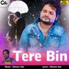 About Tere Bin - Humane Sagar Song