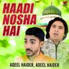 About Haadi Nosha Hai Song