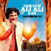 About Dam Dam Ali Ali Kar Song