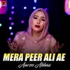 About Mera Peer Ali Ae Song