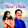 About Mera Dhola Song