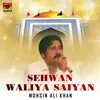 Sehwan Waliya Saiyan