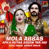 About Mola Abbas Apka Rutba Azeem Tar Hai Song