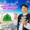 About Humain Pyaar Hai Nabi Se Song