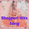 Bhojpuri Hits Song