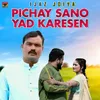 Pichay Sano Yad Karesen