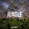 About Jungle Song