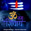 About Om Namay Shivay Song