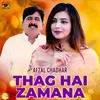 About Thag Hai Zamana Song
