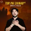 About Tur Pai Zainab A S Song