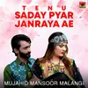 About Tenu Saday Pyar Janraya Ae Song