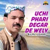 About Uchi Phari Degar De Wely Song