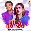 About Dila Ro Nai Song