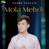 About Mola Mehdi Song