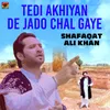 About Tedi Akhiyan De Jado Chal Gaye Song