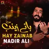 About Hay Zainab Song