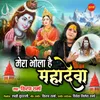 About Mera Bhola Hai Mahadeva Song