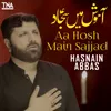 About Aa Hosh Main Sajjad Song