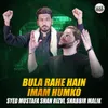About Bula Rahe Hain Imam Humko Song