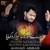 About Allah Ye Sabar Kesa Shabbir Kar Dikhaya Song