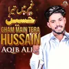 About Gham Main Tera Hussain Song