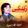 About Zindagi Song