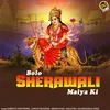 About Bolo Sherawali Maiya Ki Song