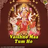 About Vaishno Maa Tum Ho Song