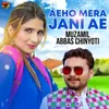 About Aeho Mera Jani Ae Song