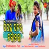 About Pipal Patar Chaka Ch Song