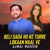 About Beli Sada Ho Ke Turre Lokaan Naal Ve Song