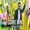 About Tore Bin Song