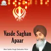About Vasde Saghan Apaar Song