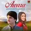 About Awara Song