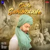 About Chote Sahibzaade Song