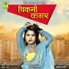 About Chikni Kamar Song