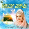 About Sohnay Nabi Di Misaal Koi Nai Song