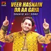 Veer Hasnain Da Aa Gaya