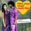 About Meri Jaan Chali Jaati Hai Song