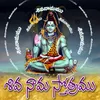 Shiva Namamu Shiva Namamu