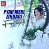About Pyar Meri Zindagi Song