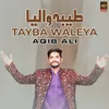 About Tayba Waleya Song