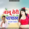 About Janu Teri Payal Karti Ghayal Song