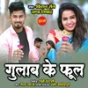 About Gulab Ke Phool Song