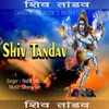 About Shiv Thandav (Anil Chandele) Song