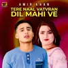 About Tere Naal Vatvran Dil Mahi Ve Song