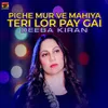 About Piche Mur Ve Mahiya Teri Lor Pay Gai Song