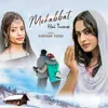 About Mohabbat Hai Tumse Song