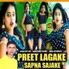 About Preet Lagake Sapna Sajake Song