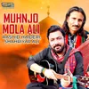 About Muhnjo Mola Ali Song